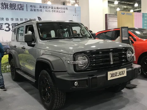 Tank 300 — 4