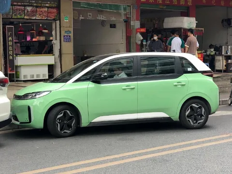 BYD D1 — 5