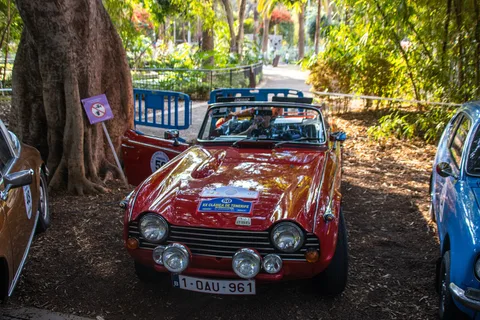 Triumph TR250 — 8