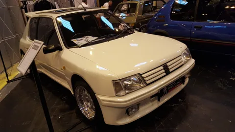 Peugeot 205 GTI — 5