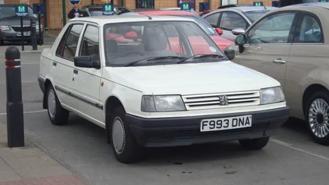 Peugeot 309 — 6
