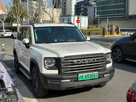 Haval Raptor — 7