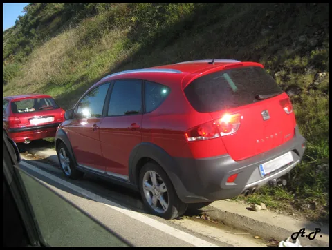 SEAT Altea FreeTrack — 2