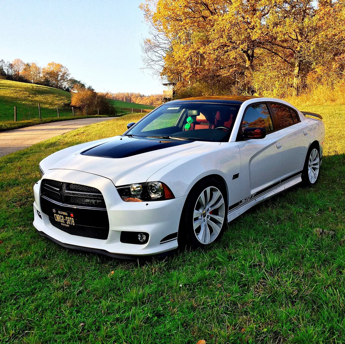 Dodge Charger muscle