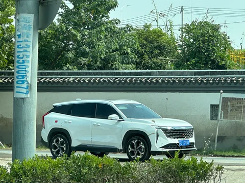 Geely Boyue L — 8