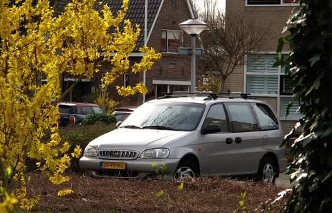 Kia Carnival (KV-II) — 2