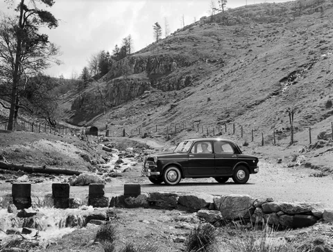 Fiat 1100 — 7