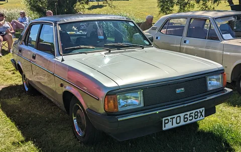 Morris Ital — 7