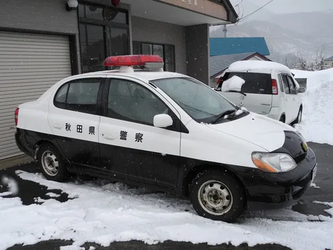 Toyota Platz — 5