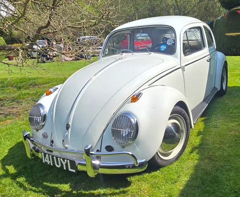 Volkswagen Beetle — 3