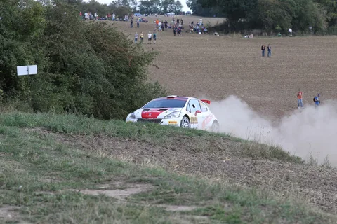 Peugeot 208 T16 — 5