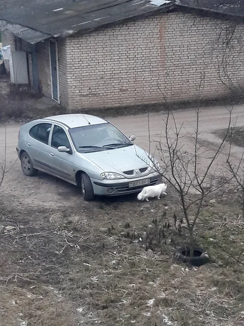 Renault Mégane I — 5