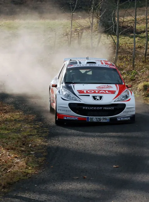 Peugeot 207 S2000 — 4