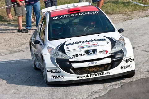 Peugeot 207 S2000 — 6
