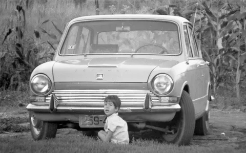 Triumph 1300 — 8