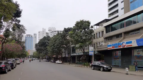 Toyota Vanguard — 4