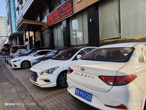 Hyundai Celesta — 6