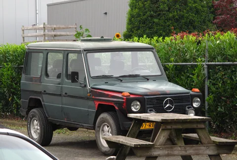 Mercedes-Benz W460 — 2