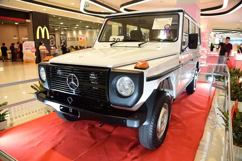 Mercedes-Benz W460 — 4