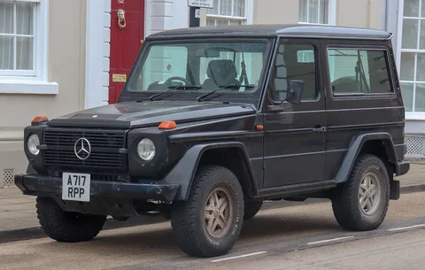 Mercedes-Benz W460 — 5