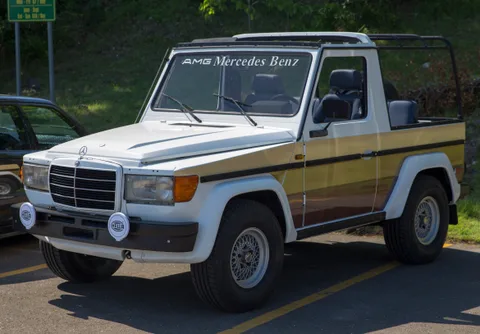 Mercedes-Benz W460 — 8