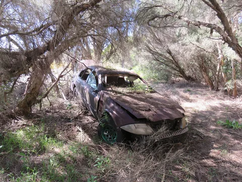 Ford AU Falcon — 4