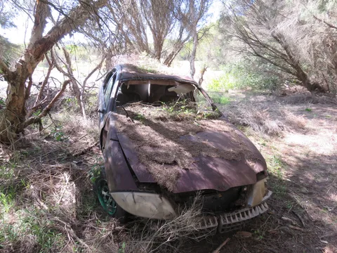 Ford AU Falcon — 5