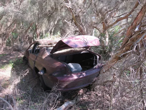 Ford AU Falcon — 6
