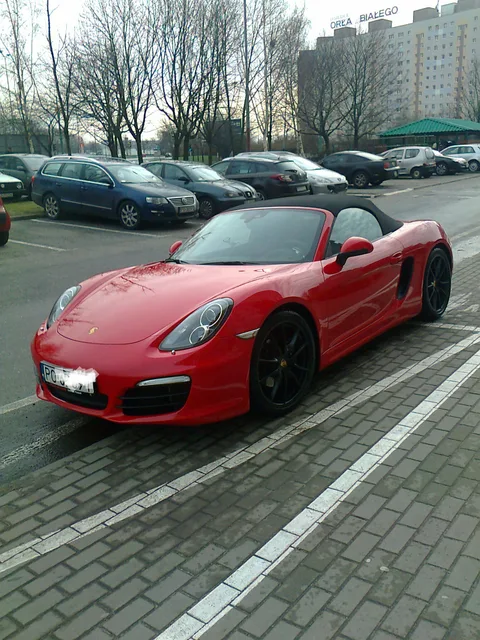 Porsche 981 — 5