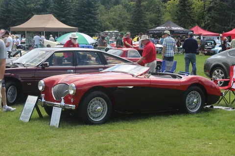 Austin-Healey 100 — 7