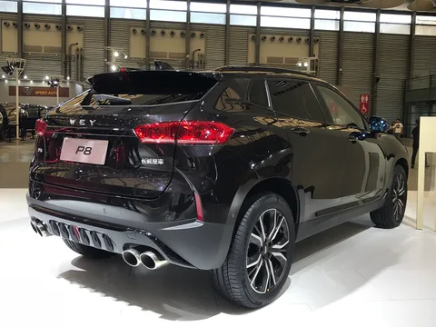 WEY P8 — 6