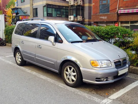 Hyundai Trajet — 8