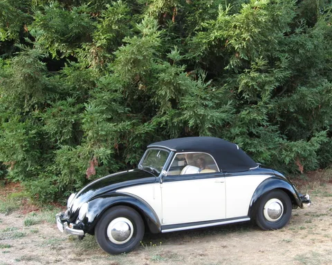 Volkswagen Type 14A — 4