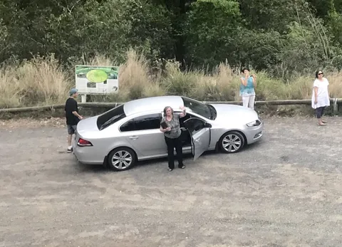 Ford FG Falcon — 2