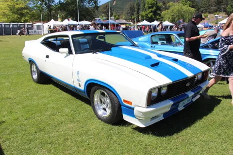Ford Falcon Cobra — 7