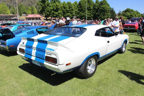 Ford Falcon Cobra — 8