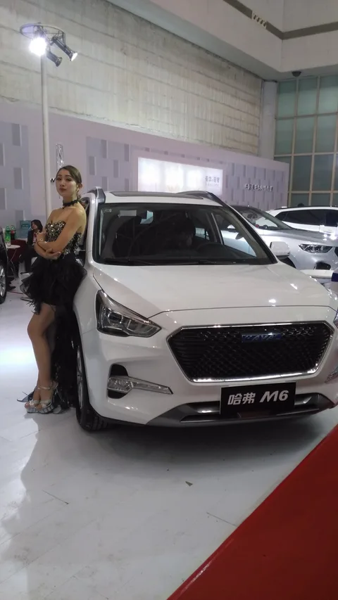 Haval M6 — 6