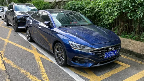 Hyundai Lafesta — 3