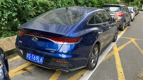 Hyundai Lafesta — 4