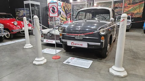 Autobianchi Bianchina — 5