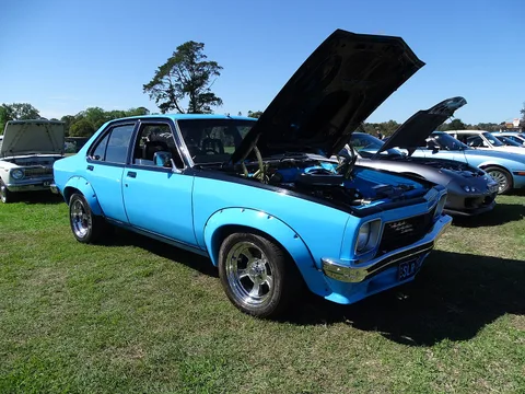 Holden Torana — 6