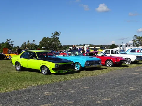 Holden Torana — 8