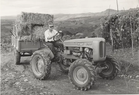 Fiat 241 — 4
