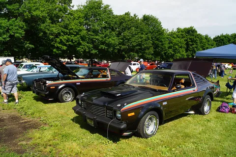 Dodge Aspen — 4