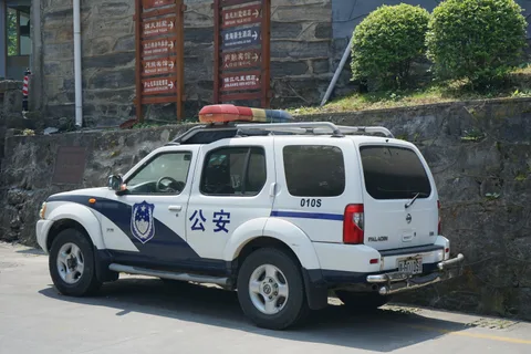 Nissan Paladin — 5