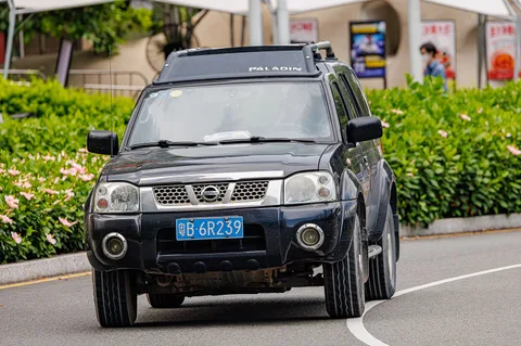 Nissan Paladin — 6
