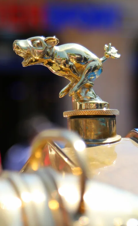 Delage Type TR — 7