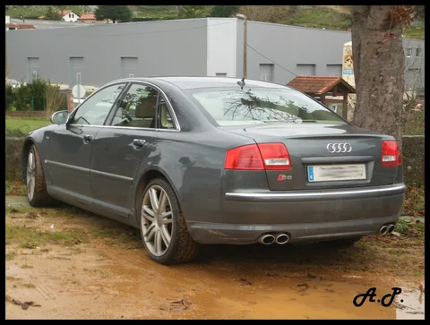 Audi S8 D3 — 5