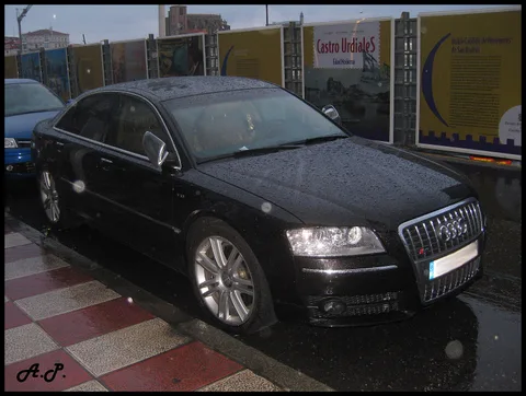 Audi S8 D3 — 6