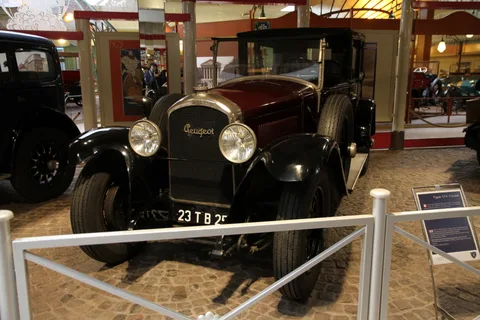 Peugeot Type 174 — 4